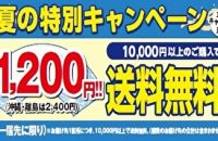 ＼残暑見舞応援フェア開催中／