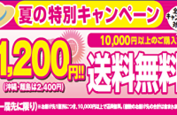夏真っ盛り＼夏のお買得フェア開催中／