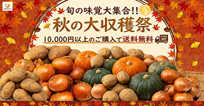 今月の逸品