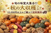 ＼秋味覚がよりどりみどり／秋の大収穫フェア開催中