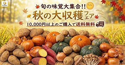 今月の逸品